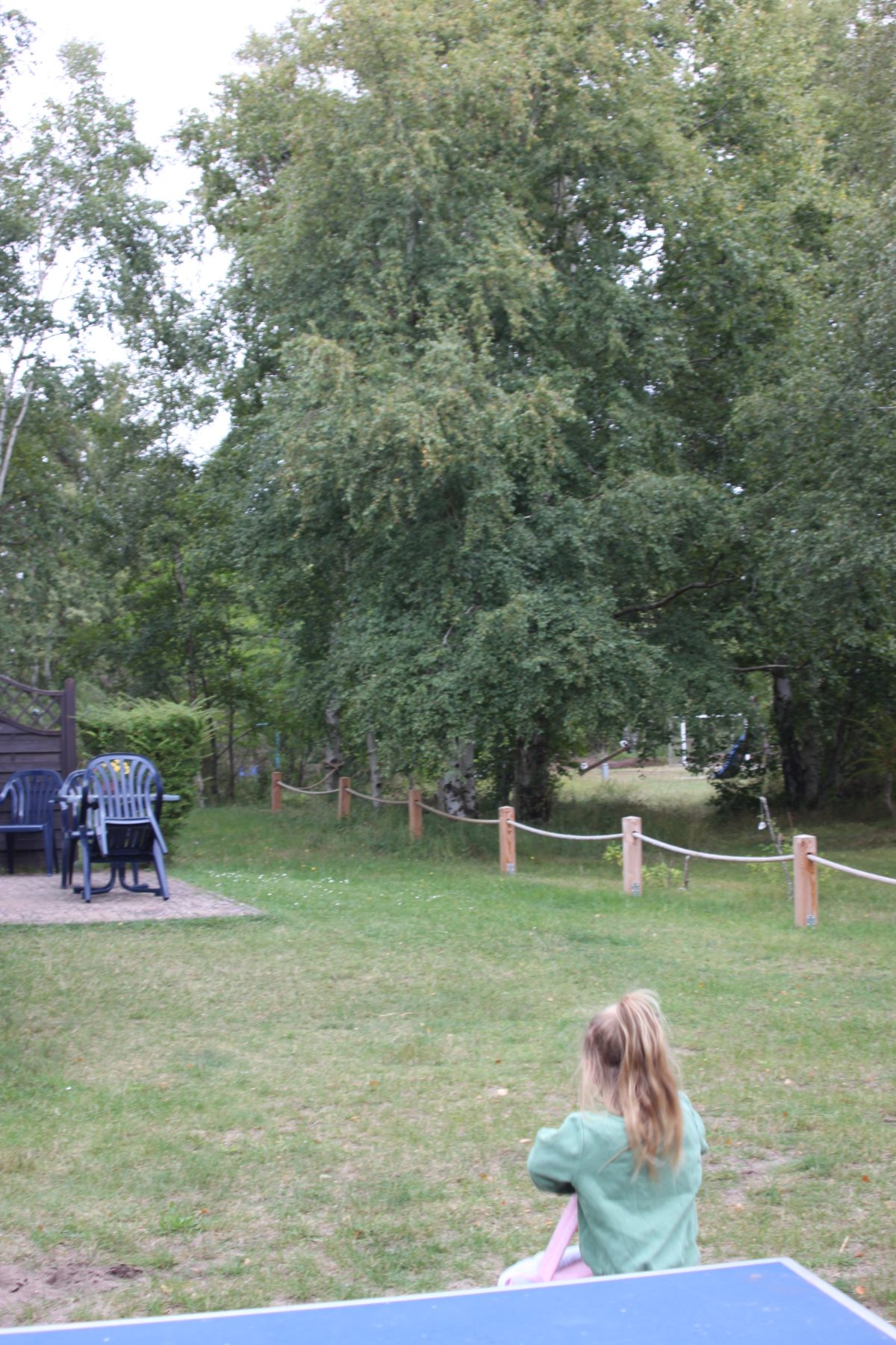 Wiese hinter dem Haus mit Seilzaun und Birken, ein Kind an der Tischtennisplatte